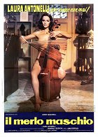 Il merlo maschio – plakát filmu