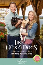 Like Cats and Dogs – plakát filmu
