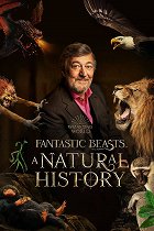 Fantastická zvířata: Přírodní historie – plakát filmu