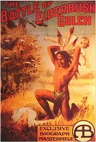 The Battle at Elderbush Gulch – plakát filmu