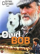 Starý Bob – plakát filmu