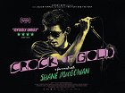 Hrnec zlaťáků: Pár drinků s Shanem MacGowanem – plakát filmu
