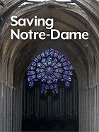 Záchrana katedrály Notre Dame – plakát filmu
