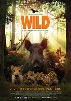 Wild – plakát filmu