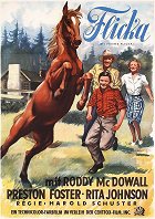 O věrném přátelství – plakát filmu