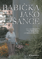 Babička jako Šance – plakát filmu