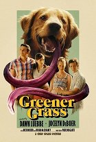 Zelenější tráva – plakát filmu
