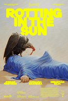 Rotting in the Sun – plakát filmu
