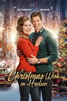 A Christmas Wish in Hudson – plakát filmu