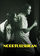 Norrtullská parta – plakát filmu