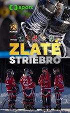 Zlaté stříbro – plakát filmu