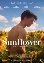 Sunflower – plakát filmu