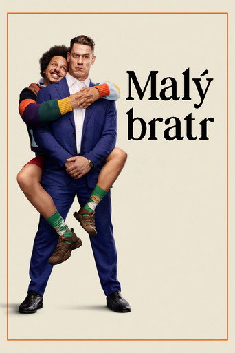 Malý bratr – plakát filmu