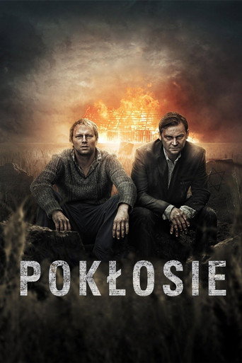 Dozvuky – plakát filmu