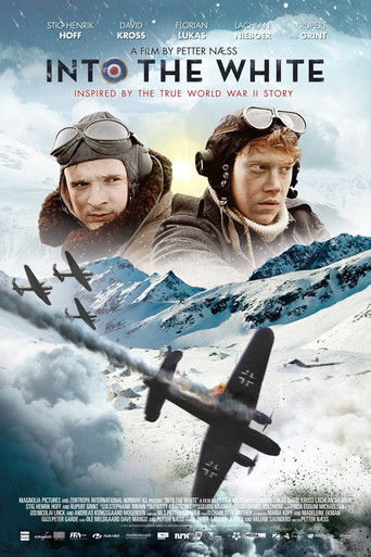 Kříž cti – plakát filmu