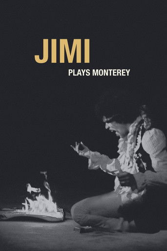 Jimi Plays Monterey – plakát filmu