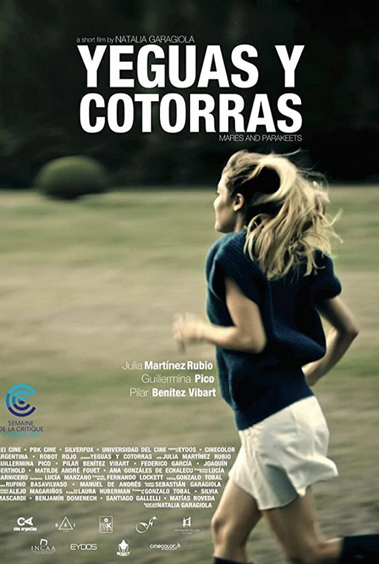 Yeguas y cotorras – plakát filmu
