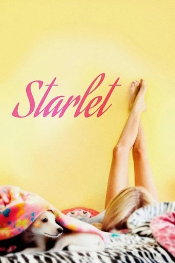 Starlet – plakát filmu