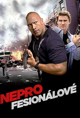 Neprofesionálové – plakát filmu