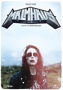 Hlava plná metalu – plakát filmu