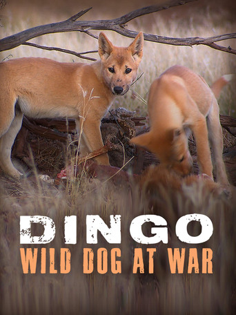 Dingo: Wild Dog at War – plakát filmu