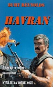 Havran – plakát filmu