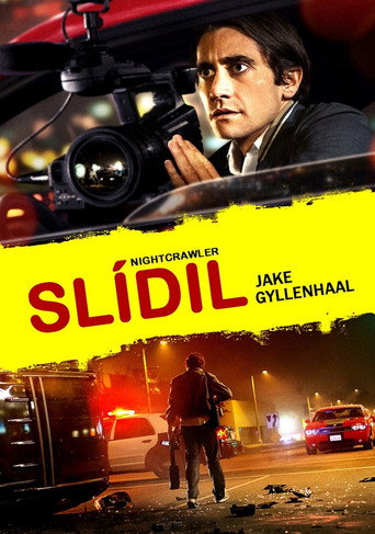 Slídil – plakát filmu