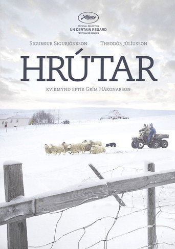 Berani – plakát filmu