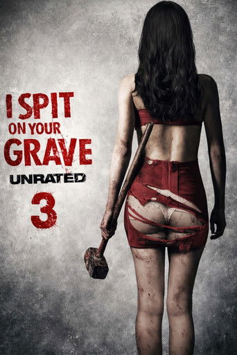 Plivu na váš hrob 3 – plakát filmu