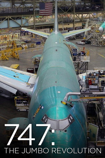 Boeing 747: Revoluce – plakát filmu