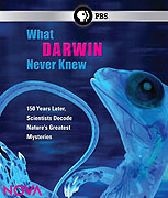 Co Darwin nemohl vědět – plakát filmu
