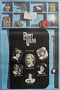 Slečny z Vlčí – plakát filmu