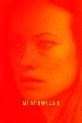 Meadowland – plakát filmu