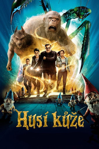 Husí kůže – plakát filmu