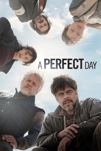Perfektní den – plakát filmu