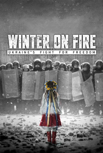 Winter on Fire: Ukraine's Fight for Freedom – plakát filmu