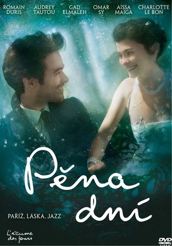 Pěna dní – plakát filmu