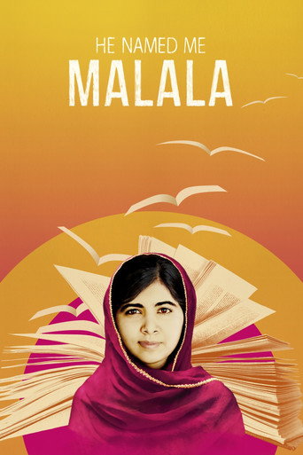 Dal mi jméno Malála – plakát filmu