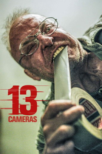 13 Cameras – plakát filmu