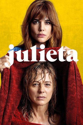 Julieta – plakát filmu