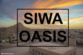 Oáza Siwa - Berberská kultura – plakát filmu
