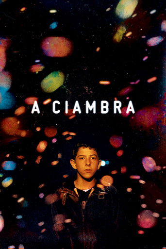 A Ciambra – plakát filmu