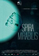 Spira mirabilis – plakát filmu