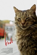 Kedi – plakát filmu