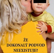 Perfect World - Perfect podvod – plakát filmu