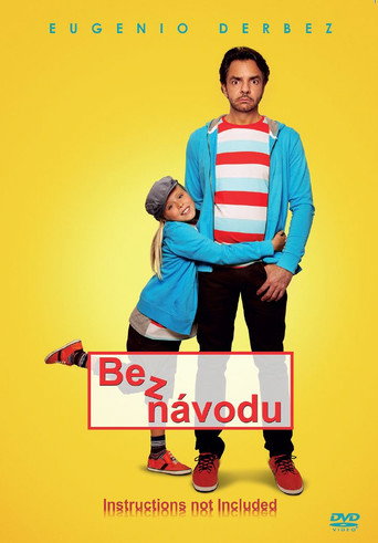 Bez návodu – plakát filmu
