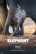 Elephant – plakát filmu