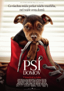 Psí domov – plakát filmu