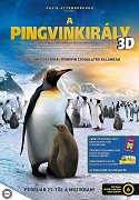 David Attenborough: Příběh tučňáka – plakát filmu