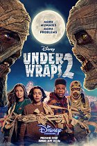 Pod obvazy 2 – plakát filmu